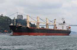 A Bulk Carrier Departing China Rammed a Fishing Vessel with Seven Fishermen Missing